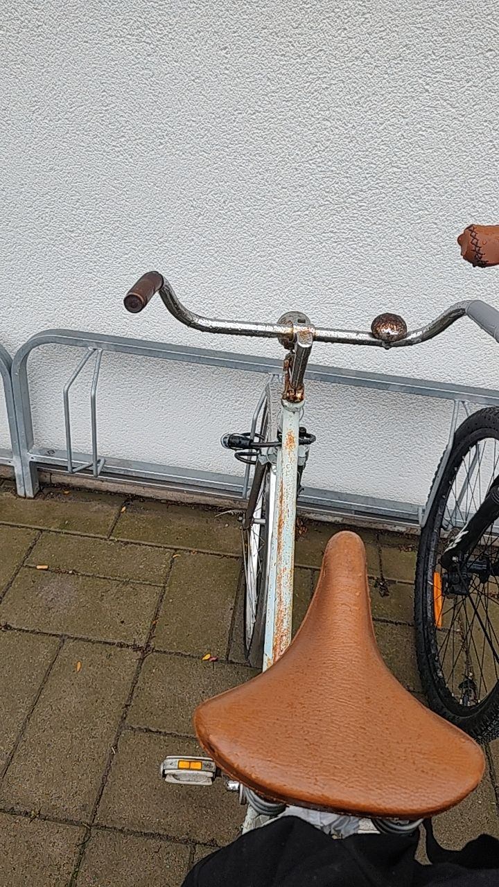 Efterlyst Klassisk damcykel / Stadscykel i Kävlinge kommun
