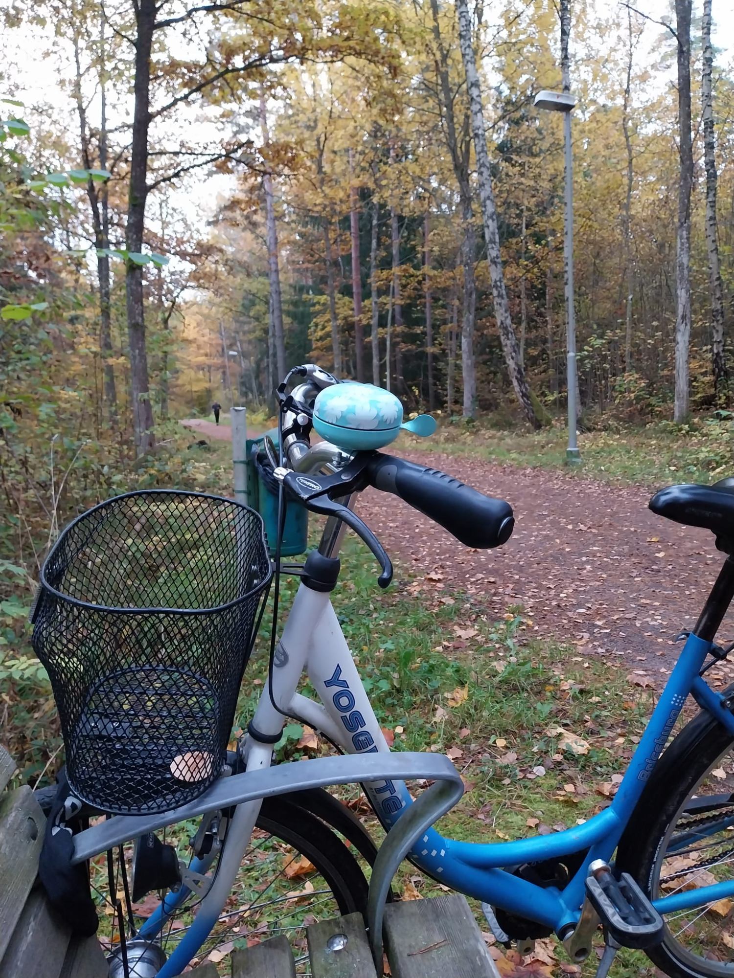 Efterlyst Standardcykel / Damcykel i Linköpings kommun